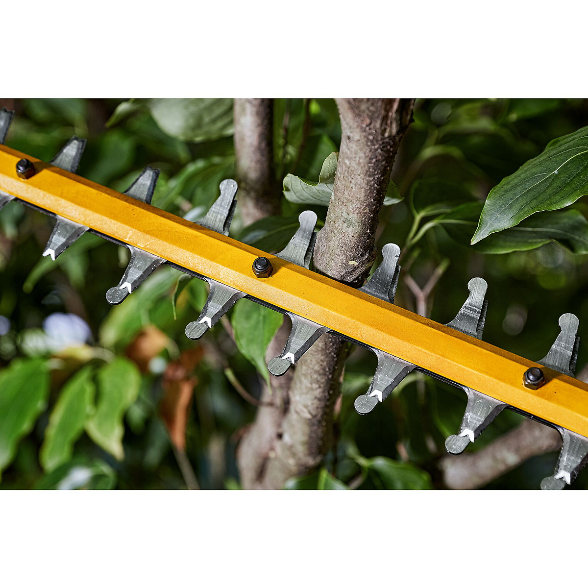 DCMHT573X1-QWDE