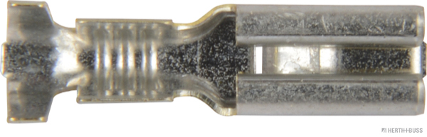 50251194hb