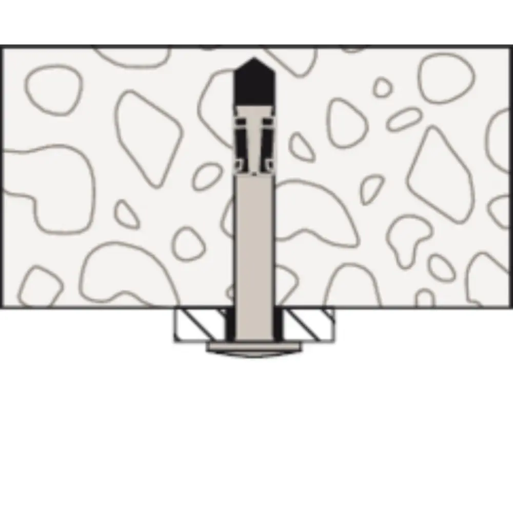 Fischer Nagelanker FNA II 6x30/5