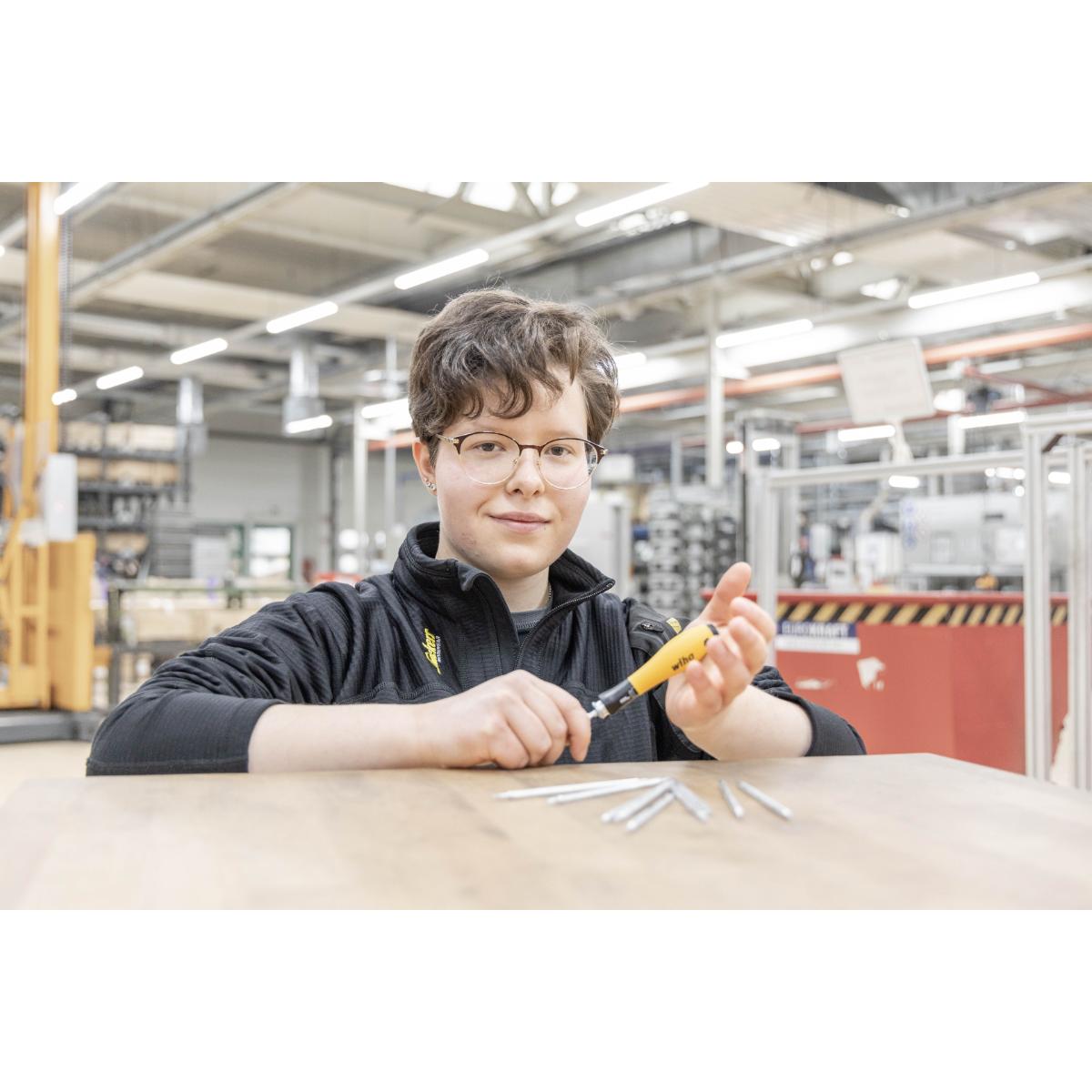 Wiha Schraubendreher mit Wechselklingen Set SYSTEM 4 ESD gemischt 12-teilges Set mit Rolltasche