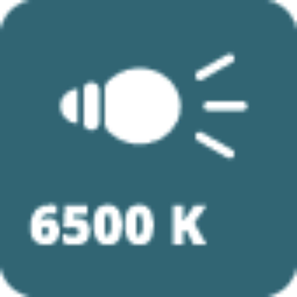 Wiha Stirnlampe 500 lm mit Bewegungssensor mit USB-C-Ladekabel