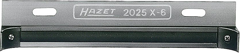 2025X-6HZ
