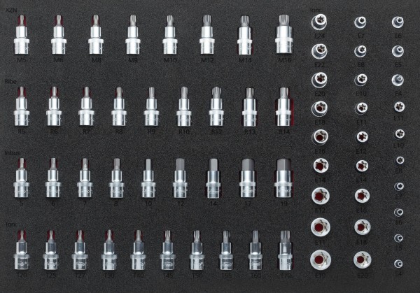 VIGOR Steckschlüssel-Einsatz Satz, V2837, Vierkant6,3 mm (1/4 Zoll), Vierkant10 mm (3/8 Zoll), Vierk